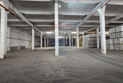 Spațiu industrial, de 6,500 mp, în Nord - 10