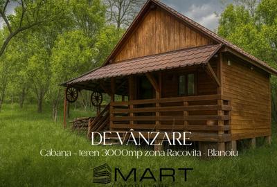 Teren intravilan 3102mp zona Racovita-Blanoiu - 1