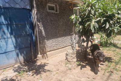 Casa de vanzare - 2