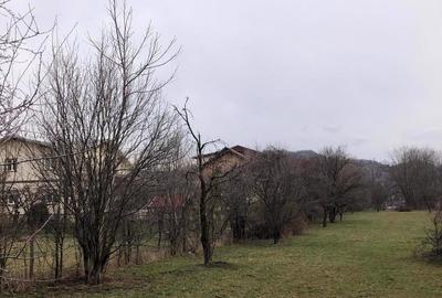 Teren de 6000 mp, în Central - 5