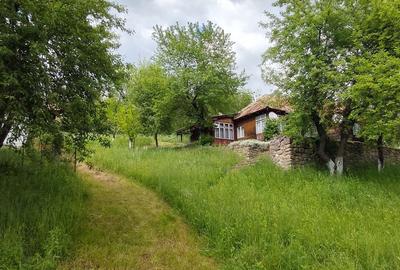 Casă individuală cu 5 camere cu Teren 3800 Mp în Furtunești - 1