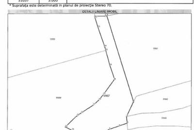 Teren 5000 mp, Loc. Sieu, Jud Maramures - 2