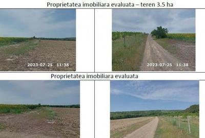 Teren padure, cota de 1/48 Horgesti, ID: R2325871 - 5