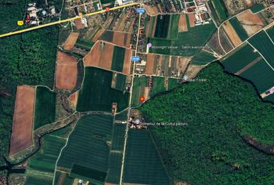 TEREN 500mp | langa Padurea Snagov | IZVORANI | LOCATIE DE VIS - 3