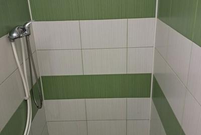 Garsonieră semidecomandată în Lăpuș - 3