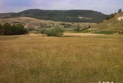 Teren de 5000 mp, în Racâș - 2