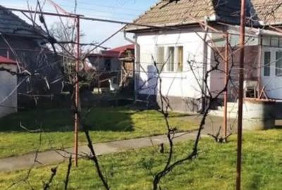 Casă cu 3 camere în Criș - 4