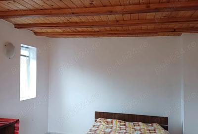 Casă cu 5 camere cu Teren 3000 Mp în Ștefănești - 9