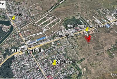 Teren Odai-Straulesti-Piscul Sadului 16.500mp - 3