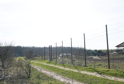 Teren Construcții intravilan de 1075 mp, în Găneasa - 2