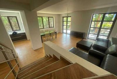 Casă cu 4 camere cu Teren 1900 Mp în Bujoreanca - 6