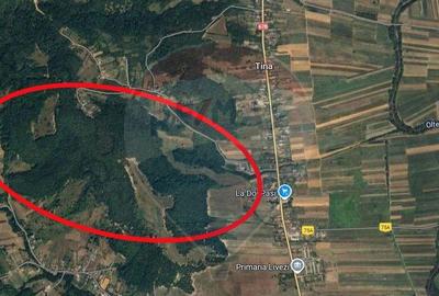 Fost Conac cu padure si teren 54h - 15