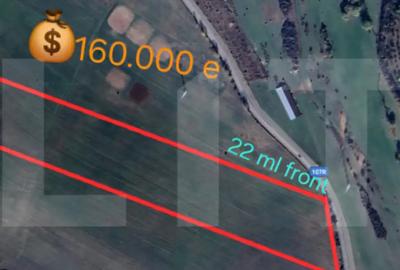 Teren de 5000 mp, în Ciurila - 3