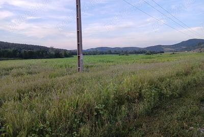 Teren de 30000 mp, în Lupoaia
