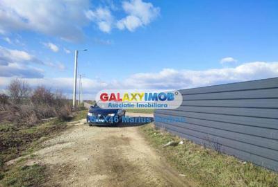 Teren de 14700 mp, în Ulmi - 6