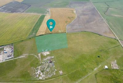 Teren intravilan de 29,970mp Sacalaz - 12