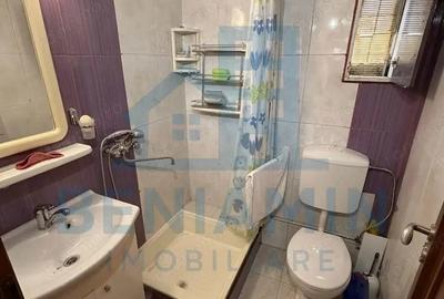Apartament cu 4 camere decomandat în Brazda lui Novac - 9