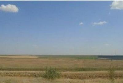 Teren de 9000 mp, în Schela - 10