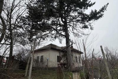 Casă cu 3 camere cu Teren 2714 Mp în Central - 2