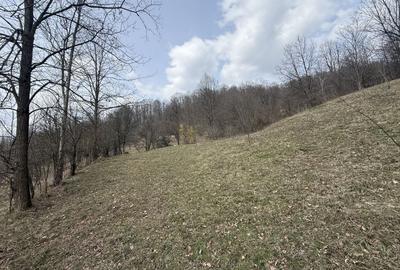 Teren Construcții intravilan de 6040 mp, în Drăgăneasa - 12