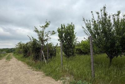 Teren de 2424 mp, în Miroslava - 6