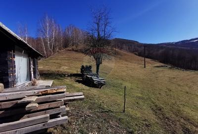 Teren Construcții intravilan de 10100 mp, în Munteni - 10