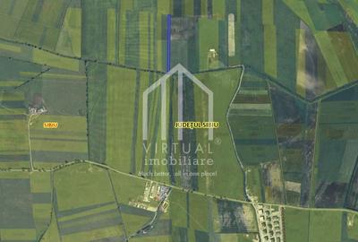 Teren agricol extravilan de 4900 mp, în Nord-Vest - 2