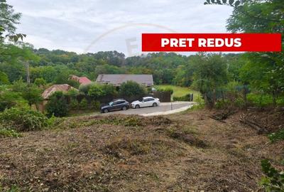 Teren 2552 mp x 14€ Mosoaia Hintesti -Strada  Basangesti - 5