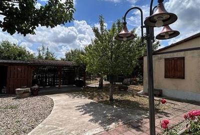 Casa individuala de vanzare | 254 mp utili | 894 mp teren | Dinias, la 25 km de - 19
