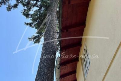 Teren intravilan cu casa- 1740 mp. in Provita de Sus-PH - 35