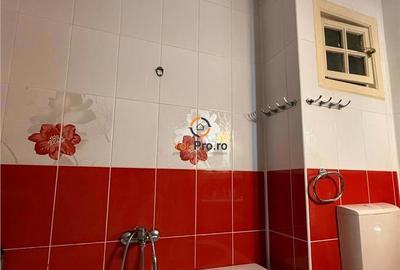 Casă cu 9 camere cu Teren 300 Mp în Lunei - 4