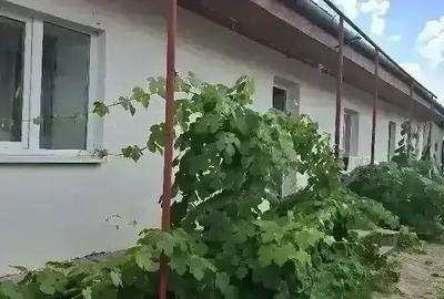 Casă cu 3 camere cu Teren 950 Mp în Cruceni - 3