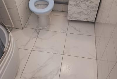 Casă individuală cu 7 camere cu Canalizare în Faleza Nord - 12