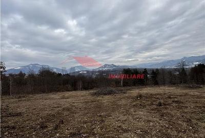 Teren de 15470 mp, în Prundu Bârgăului - 9