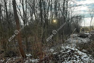 Teren Intravilan 1600 mp in Avrig zona Valea Avrigului - 1