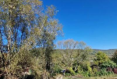 Casa in Vladesti - 2