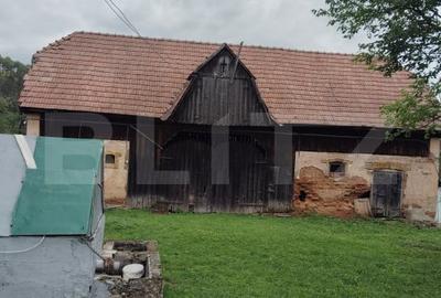 Proprietate in Iara 6.000  teren, ideala pentru casa sau investitie - 5