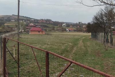Teren de 1340 mp, în Mociu - 4