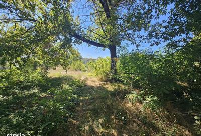 Spațiu comercial, în Central - 7