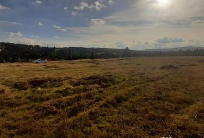 Teren de 1000 mp, în Central - 2