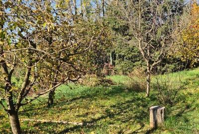 Casă cu 3 camere în Dobolii de Jos - 8