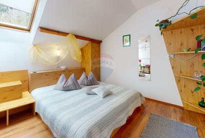 Hotel/Pensiune, de 383 mp, în Ultracentral - 13