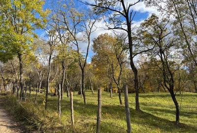 Spațiu comercial, în Central - 2