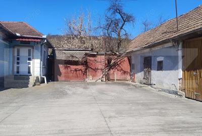 Casă cu 3 camere cu Teren 1447 Mp în Central - 3