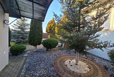 Casa individuala | Parter | Scheia | C-3819 - 16