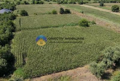 Teren de 3866 mp, în Izvoare (Dumbrava Roșie) - 7