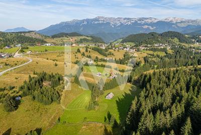 Teren de vanzare central, Fundata, Brasov, extravilan, intravilan, COMISION 0% - 11