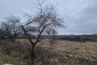 Teren de 2000 mp, în Moara - 2