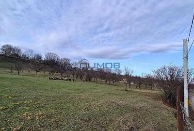 Teren de 9123 mp, în Central - 11