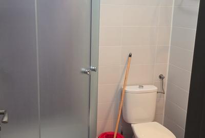 Garsoniera la curte, centrala proprie, Aparatorii Patriei metrou 5' mers pe jos - 10